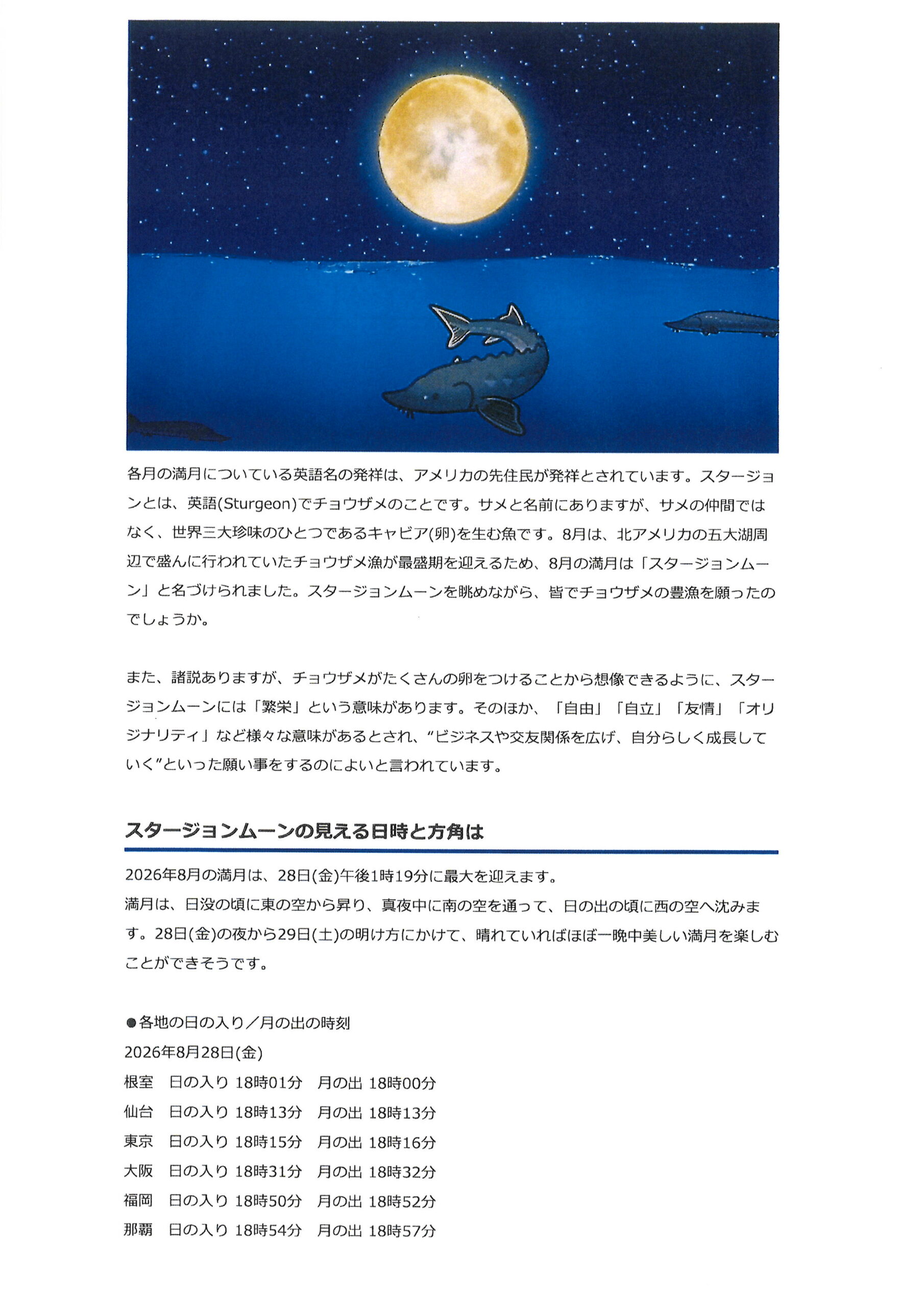 活動歴および当時の関連ビジュアル記録